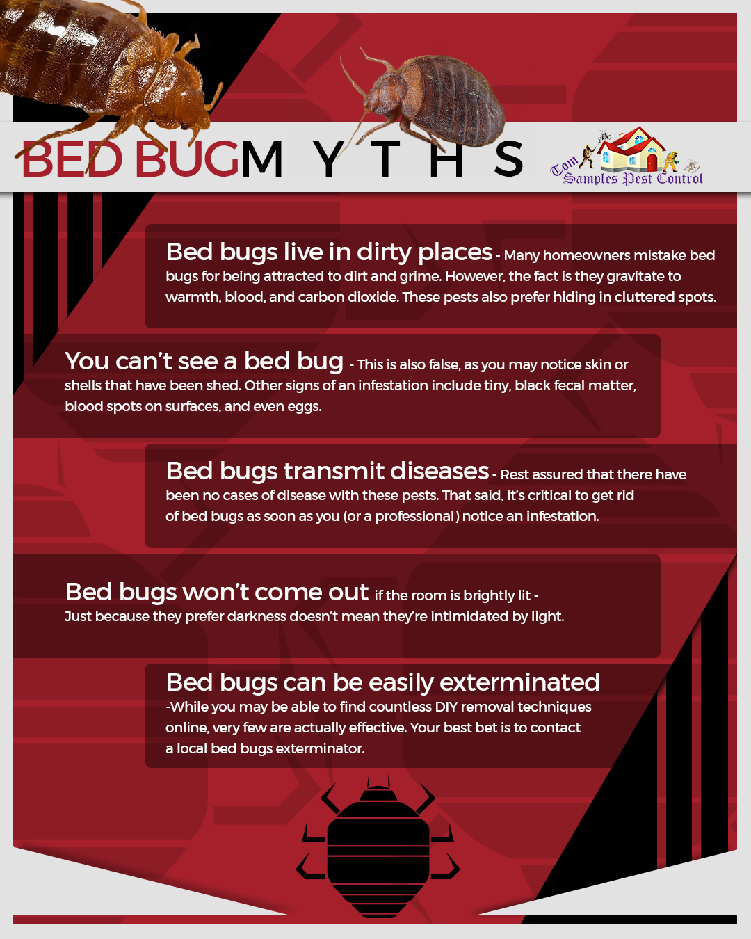 Cómo prevenir las chinches de cama