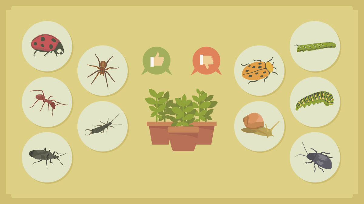 Otros consejos para mantener a los insectos fuera del mantillo