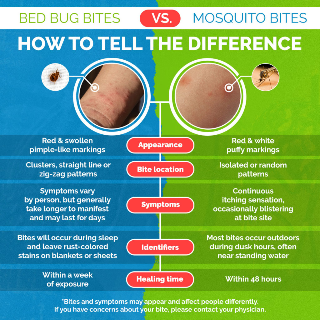 Signos y síntomas de las picaduras de mosquitos