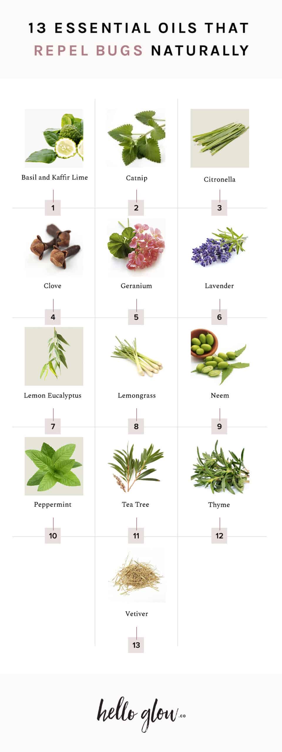 ¿Qué es el aceite de lavanda?